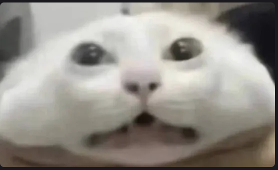 meme